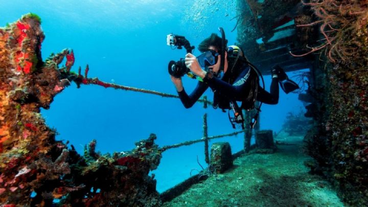 Scuba Diving in Central Coast